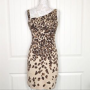 Diane Von Furstenberg Nomie Leopard 100% Silk Dress